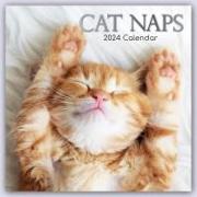 Cat Naps - Träumende Katzen 2024 - 16-Monatskalender
