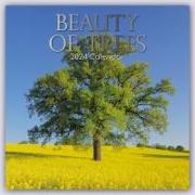 Beauty of Trees - Die Schönheit der Bäume 2024 - 16-Monatskalender