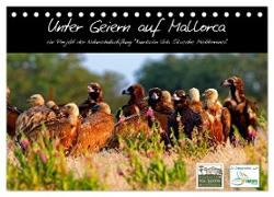 Unter Geiern auf Mallorca: Ein Projekt der Naturschutzstiftung Vida Silvestre Mediterránea (Tischkalender 2024 DIN A5 quer), CALVENDO Monatskalender