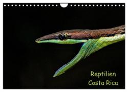 Reptilien Costa Rica (Wandkalender 2024 DIN A4 quer), CALVENDO Monatskalender