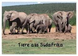 Tiere aus Südafrika (Wandkalender 2024 DIN A3 quer), CALVENDO Monatskalender