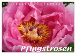 Pfingstrosen (Tischkalender 2024 DIN A5 quer), CALVENDO Monatskalender
