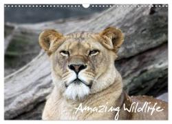 Amazing Wildlife (Wandkalender 2024 DIN A3 quer), CALVENDO Monatskalender