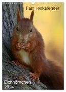 Eichhörnchen (Wandkalender 2024 DIN A3 hoch), CALVENDO Monatskalender
