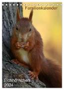 Eichhörnchen (Tischkalender 2024 DIN A5 hoch), CALVENDO Monatskalender