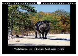 Wildtiere im Etosha Nationalpark (Wandkalender 2024 DIN A4 quer), CALVENDO Monatskalender