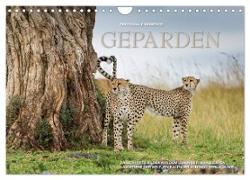 Emotionale Momente: Geparden (Wandkalender 2024 DIN A4 quer), CALVENDO Monatskalender