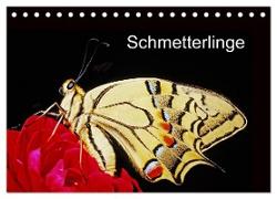 Schmetterlinge (Tischkalender 2024 DIN A5 quer), CALVENDO Monatskalender