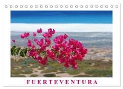 Fuerteventura (Tischkalender 2024 DIN A5 quer), CALVENDO Monatskalender