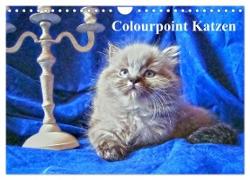 Colourpoint Katzen (Wandkalender 2024 DIN A4 quer), CALVENDO Monatskalender