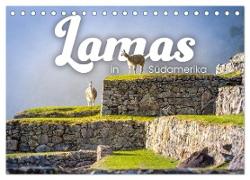 Lamas in Südamerika (Tischkalender 2024 DIN A5 quer), CALVENDO Monatskalender