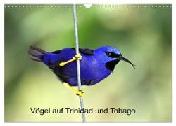 Vögel auf Trinidad und Tobago (Wandkalender 2024 DIN A3 quer), CALVENDO Monatskalender