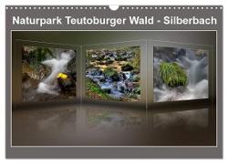 Naturpark Teutoburger Wald - Silberbach (Wandkalender 2024 DIN A3 quer), CALVENDO Monatskalender