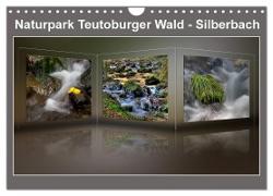 Naturpark Teutoburger Wald - Silberbach (Wandkalender 2024 DIN A4 quer), CALVENDO Monatskalender