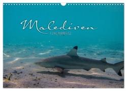 Unterwasserwelt der Malediven I (Wandkalender 2024 DIN A3 quer), CALVENDO Monatskalender
