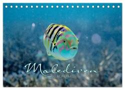 Unterwasserwelt der Malediven II (Tischkalender 2024 DIN A5 quer), CALVENDO Monatskalender