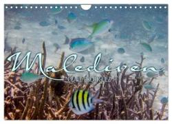 Unterwasserwelt der Malediven III (Wandkalender 2024 DIN A4 quer), CALVENDO Monatskalender