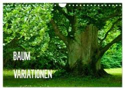 Baum-Variationen (Wandkalender 2024 DIN A4 quer), CALVENDO Monatskalender