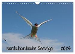 Nordatlantische Seevögel (Wandkalender 2024 DIN A4 quer), CALVENDO Monatskalender