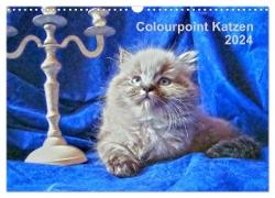 Colourpoint Katzen 2024 (Wandkalender 2024 DIN A3 quer), CALVENDO Monatskalender