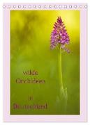 wilde Orchideen in Deutschland (Tischkalender 2024 DIN A5 hoch), CALVENDO Monatskalender