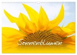 Sonnenblumen - die Blumen der Lebensfreude (Wandkalender 2024 DIN A3 quer), CALVENDO Monatskalender