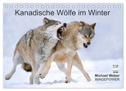 Kanadische Wölfe im Winter (Tischkalender 2024 DIN A5 quer), CALVENDO Monatskalender