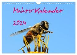 Makro-Kalender 2024 (Wandkalender 2024 DIN A4 quer), CALVENDO Monatskalender
