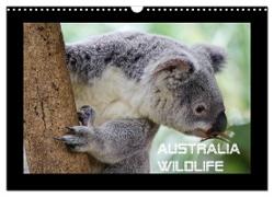 Australia Wildlife (Wandkalender 2024 DIN A3 quer), CALVENDO Monatskalender