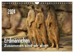 Erdmännchen ¿ Zusammen sind wir stark / CH-Version (Wandkalender 2024 DIN A4 quer), CALVENDO Monatskalender