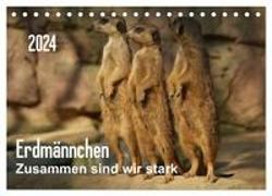 Erdmännchen ¿ Zusammen sind wir stark / CH-Version (Tischkalender 2024 DIN A5 quer), CALVENDO Monatskalender