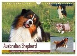 Australian Shepherd - Hütehunde mit Familienanschluss (Wandkalender 2024 DIN A4 quer), CALVENDO Monatskalender