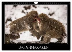 Japanmakaken (Wandkalender 2024 DIN A4 quer), CALVENDO Monatskalender