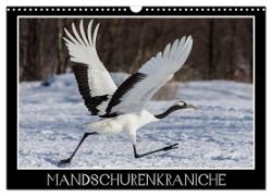 Mandschurenkraniche (Wandkalender 2024 DIN A3 quer), CALVENDO Monatskalender