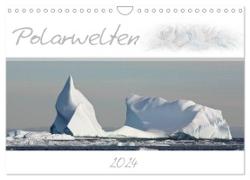Polarwelten (Wandkalender 2024 DIN A4 quer), CALVENDO Monatskalender