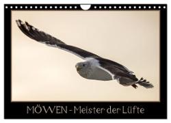 Möwen - Meister der Lüfte (Wandkalender 2024 DIN A4 quer), CALVENDO Monatskalender