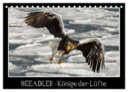Seeadler - Könige der Lüfte (Tischkalender 2024 DIN A5 quer), CALVENDO Monatskalender