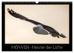 Möwen - Meister der Lüfte (Wandkalender 2024 DIN A3 quer), CALVENDO Monatskalender