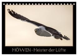 Möwen - Meister der Lüfte (Tischkalender 2024 DIN A5 quer), CALVENDO Monatskalender