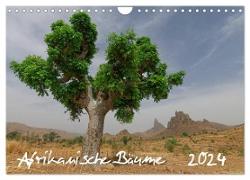 Afrikanische Bäume (Wandkalender 2024 DIN A4 quer), CALVENDO Monatskalender