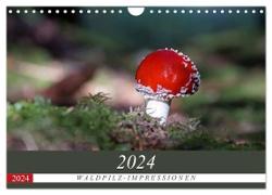 Waldpilz-Impressionen (Wandkalender 2024 DIN A4 quer), CALVENDO Monatskalender