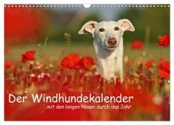 Der Windhundekalender (Wandkalender 2024 DIN A3 quer), CALVENDO Monatskalender