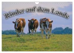 Rinder auf dem Lande (Wandkalender 2024 DIN A4 quer), CALVENDO Monatskalender