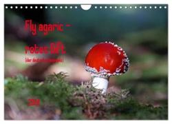 Fly agaric - rotes Gift (Wandkalender 2024 DIN A4 quer), CALVENDO Monatskalender