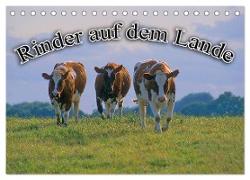 Rinder auf dem Lande (Tischkalender 2024 DIN A5 quer), CALVENDO Monatskalender