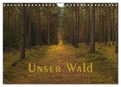 Unser Wald - Magische Sichten in norddeutsche Wälder (Wandkalender 2024 DIN A4 quer), CALVENDO Monatskalender