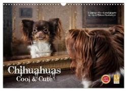 Chihuahuas - Cool and Cute (Wandkalender 2024 DIN A3 quer), CALVENDO Monatskalender