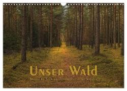 Unser Wald - Magische Sichten in norddeutsche Wälder (Wandkalender 2024 DIN A3 quer), CALVENDO Monatskalender