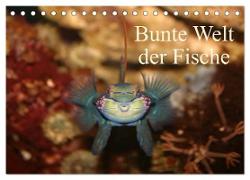 Bunte Welt der Fische (Tischkalender 2024 DIN A5 quer), CALVENDO Monatskalender