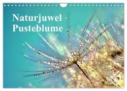 Naturjuwel Pusteblume (Wandkalender 2024 DIN A4 quer), CALVENDO Monatskalender